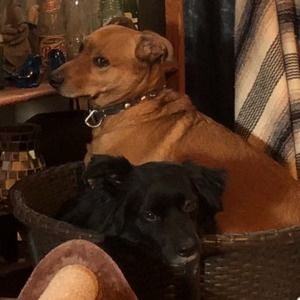 Meet your Posher, Makenzi